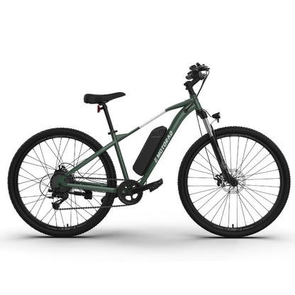 EMotorad Trex Air